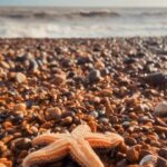 Joe Sugg Instagram - Good Friday beach walk. I wonder if the strong winds we had brought all these critters to the beach? So many starfish washed up. (I did frisbee them back into the sea to give them another chance but I think the tide was going out 😬🤦🏼‍♂️ )