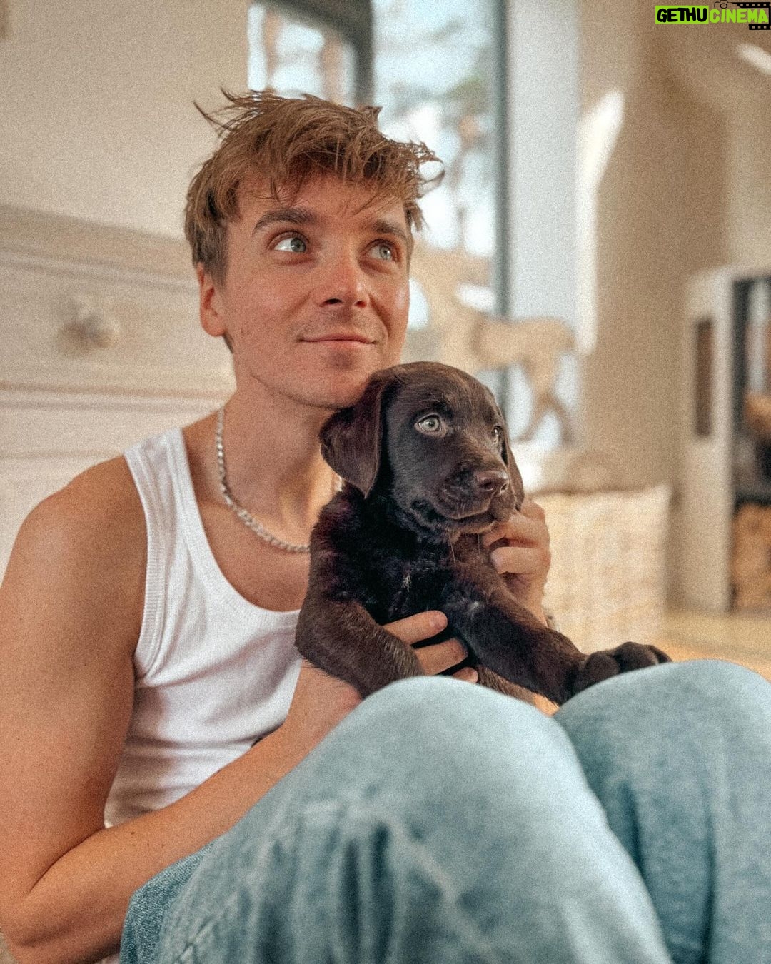 Joe Sugg Instagram - Bank holiday weekend 🪺 1. A new family arrival 2. Finishing up a canvas for the lounge 3. One of my favourite smells on earth.. wild garlic 🤤 4. Went for a stroll along the beach and realised I don’t make the most of living close to a beach. Probably because the weather is rubbish 98% of the time. 5. @diannebuswell made me get a facial and I’ve never seen someone so excited watching someone else pop my spots 😂