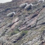 José Miguel Viñuela Instagram - Star Lodge… Se atreverían a pasar una noche durmiendo colgado en una cápsula q está anclada a un cerro? Cuéntenme si están dispuestos a vivir una aventura llena de amor junto a esa persona q es la q te llena el corazón contemplando las estrellas como nunca? Los leo #viajes #turismoaventura #destinos @masaitravel Skylodge Adventure Suites