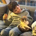 José Miguel Viñuela Instagram - Parece q vamos a tener más hijos… Jamás pensè q me iba a encantar con los gatos.. y mis niños para q decir… los aman!!! ❤️❤️❤️❤️❤️