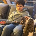 José Miguel Viñuela Instagram - Parece q vamos a tener más hijos… Jamás pensè q me iba a encantar con los gatos.. y mis niños para q decir… los aman!!! ❤️❤️❤️❤️❤️