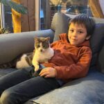 José Miguel Viñuela Instagram - Parece q vamos a tener más hijos… Jamás pensè q me iba a encantar con los gatos.. y mis niños para q decir… los aman!!! ❤️❤️❤️❤️❤️