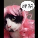 Kang Min-ah Instagram –