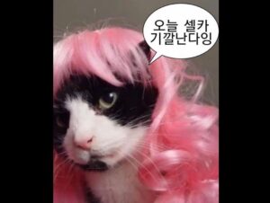 Kang Min-ah Instagram -