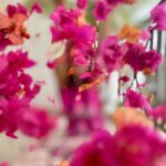 Kanika Kapoor Instagram - Holi hai 🌺🌸🌼🌸🌺🌸🌼 Lagos, Nigeria