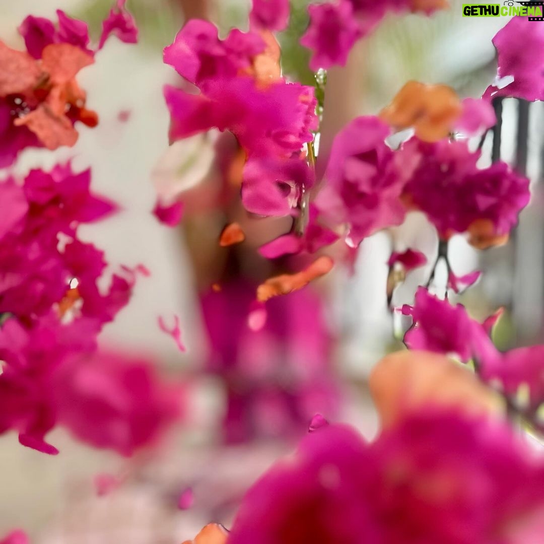 Kanika Kapoor Instagram - Holi hai 🌺🌸🌼🌸🌺🌸🌼 Lagos, Nigeria