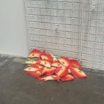 Katie Douglas Instagram - Memory Archive