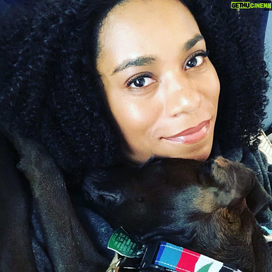 Kelly McCreary Instagram - TGIF amirite? What are y’all’s weekend plans?? Mine look a little like Motown’s current situation. 😴😴