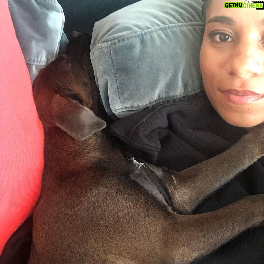 Kelly McCreary Instagram - Motown called it a night early so she can rest up for the #greysanatomy season premiere tomorrow. @greysabc #sweet16