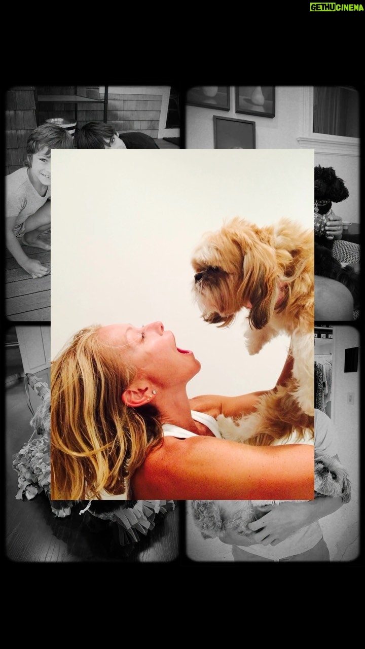 Kelly Ripa Instagram - Happy Birthday Chewie, the D-OG!