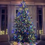 Kelly Ripa Instagram - Isn’t she lovely 🎄♥️