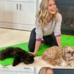 Kelly Ripa Instagram – Forever puppy love with these two 🐾
Happy #NationalPuppyDay to Lena, Chewie and all your pups out there…