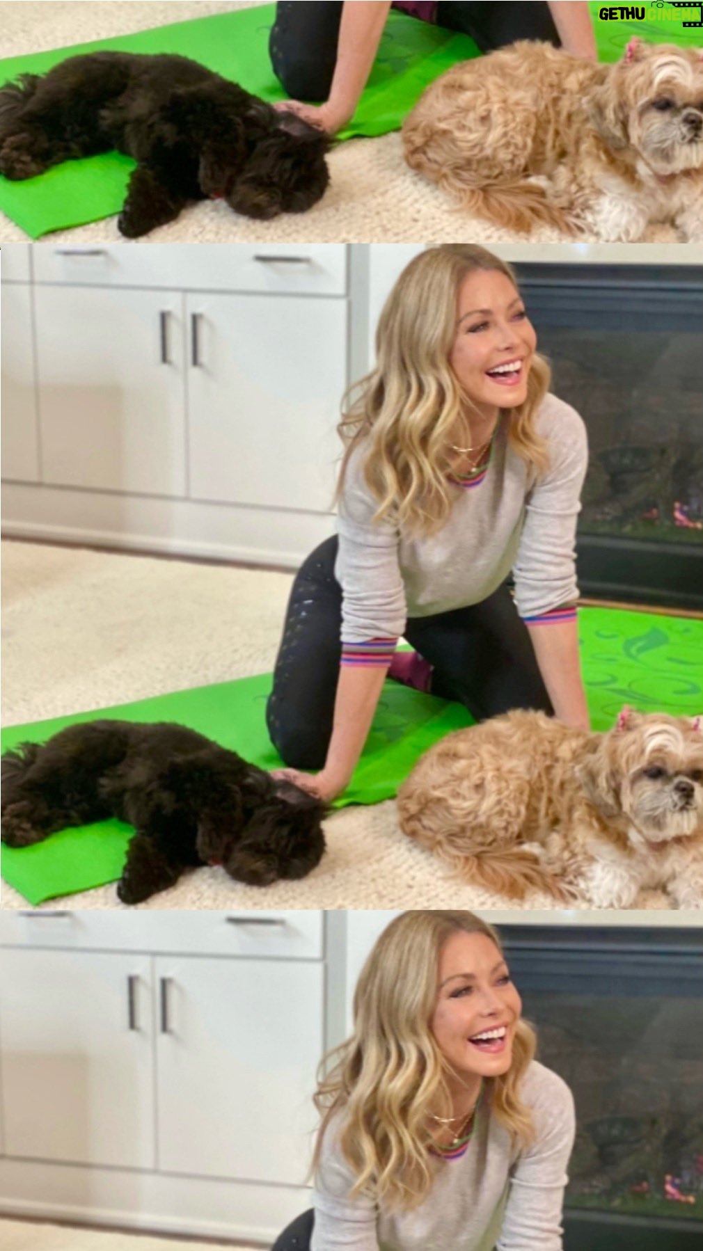 Kelly Ripa Instagram - Forever puppy love with these two 🐾 Happy #NationalPuppyDay to Lena, Chewie and all your pups out there…