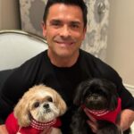Kelly Ripa Instagram - Happy Holidays ya filthy animals! 🎄 Scenes from my attempted doggie photoshoot. We laughed. We cried. They peed. #chewie #lena