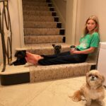 Kelly Ripa Instagram - One tired wolf pack. 🐶🐶🐶🤡
