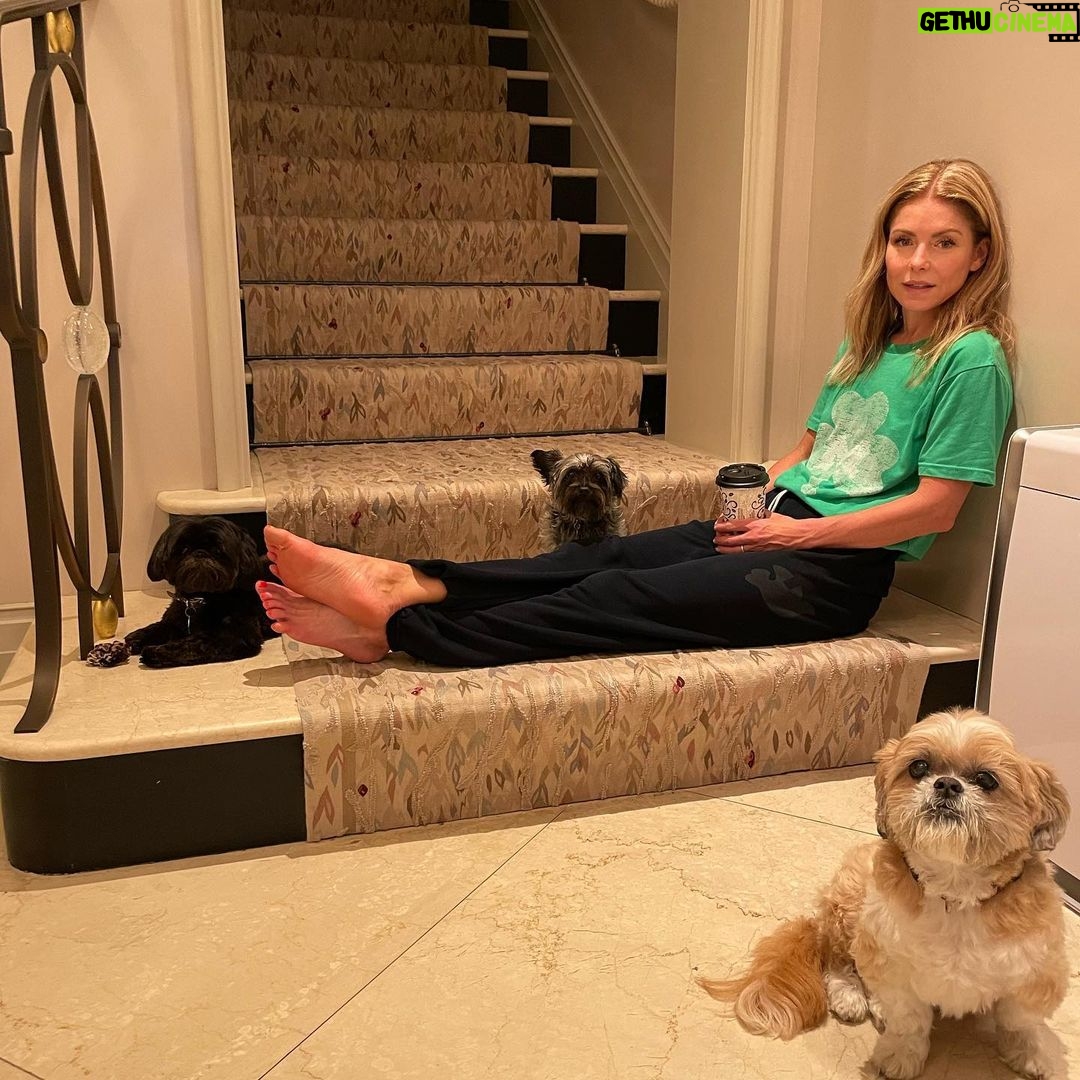 Kelly Ripa Instagram - One tired wolf pack. 🐶🐶🐶🤡