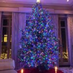 Kelly Ripa Instagram - Behold the lady. She’s colorful this year! 🎄