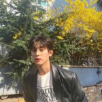Kim Min-kyu Instagram - 또다시 봄🌼🌼