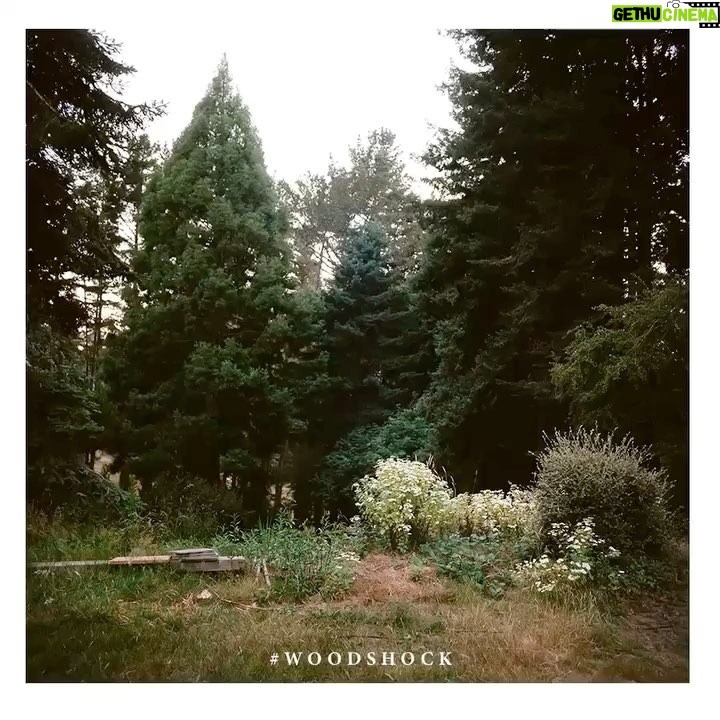 Kirsten Dunst Instagram - "Bye, Theresa" πΏπ @woodshockmovie #byefelicia