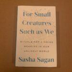 Kirsten Dunst Instagram - My beautiful friend wrote this book and life is better with her in your life. @sashasagan