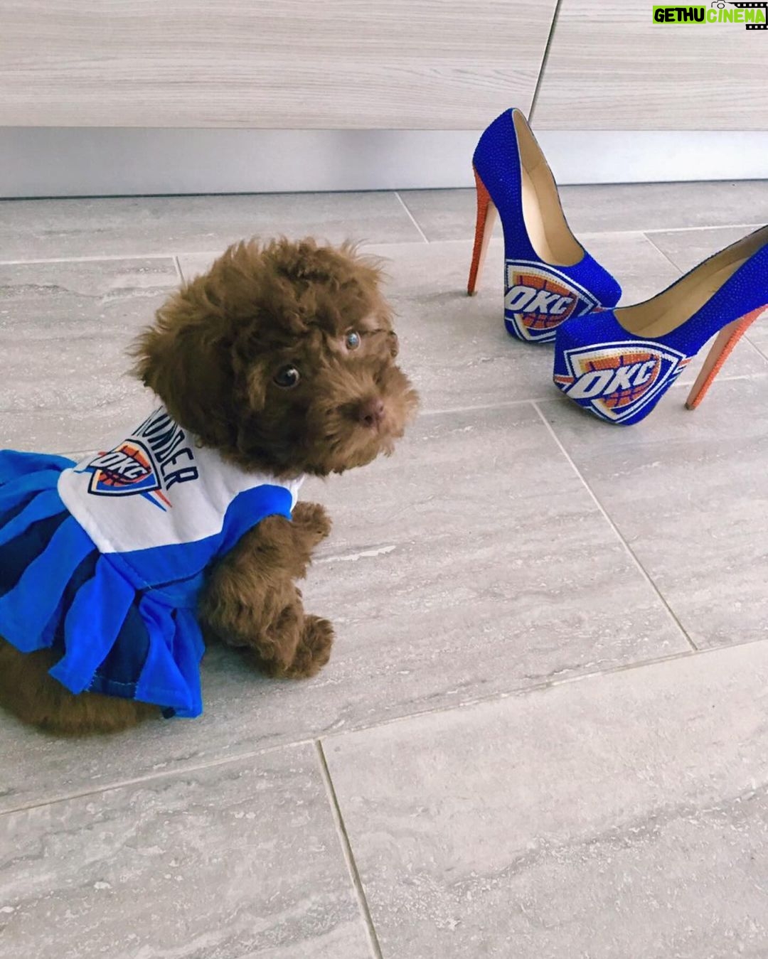 Kristin Chenoweth Instagram - HAPPY BIRTHDAY THUNDY!!! Mama wuvs you so much. Shes SEVEN today 🥹💗🐾⚡️ #thunderpup