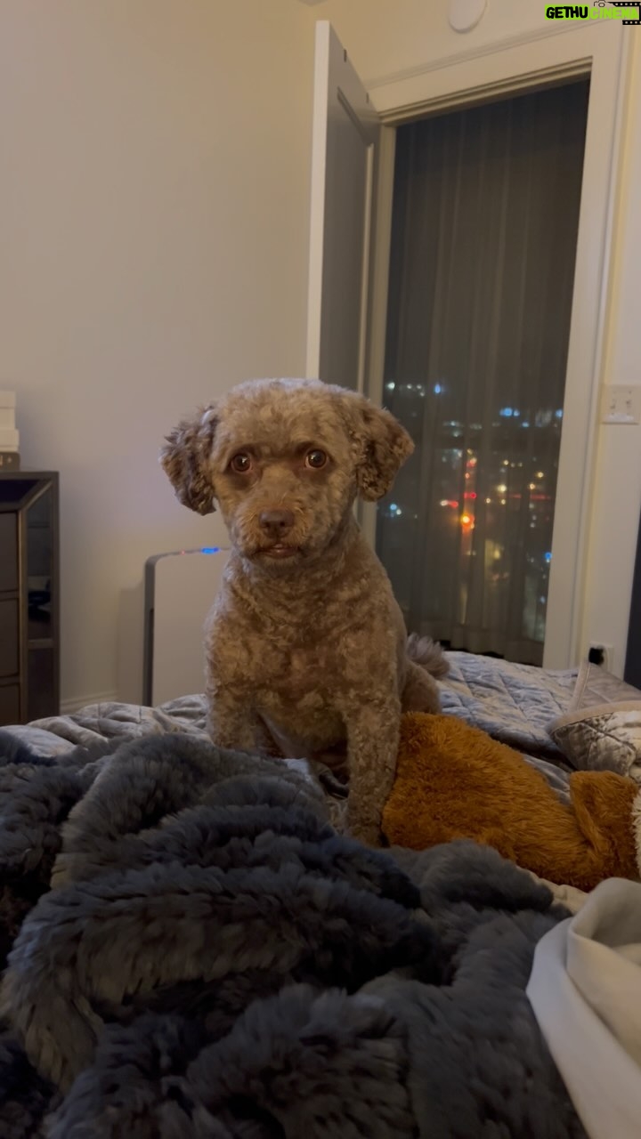 Kristin Chenoweth Instagram - Can I help you, Thunder??? Full stalker while I eat.