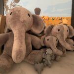 Kwak Dong-yeon Instagram – 안소니즈 어셈블 
원로 안소니는 샤워중. 
이제 한사이즈 남았다고 한다 두구두구 🐘