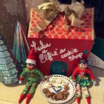 Lacey Chabert Instagram – LuLu and Elfie made a little pop-up cookie shop full of miniature cookies last night and left quite a mess in our kitchen ;) 🎄🎅🏻🎄🎅🏻 #elfontheshelf #holidaymemories #dayone #christmastraditions #repurposingallthosecardboardboxes #5am🤦🏻♀️ #artsandcrafts