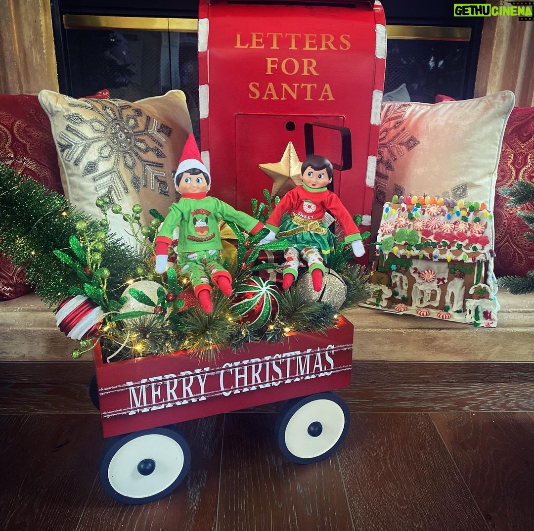 Lacey Chabert Instagram - LuLu and Elfie have arrived 🎄🧑🏻🎄❤️🎄🧑🏻🎄❤️