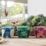 Lacey Chabert Instagram - #ad ‘Tis the season for holiday hosting! @glade limited time holiday fragrances are my must-haves to set the perfect festive vibe! Available to shop now! ✨🎁 #gladepartner
