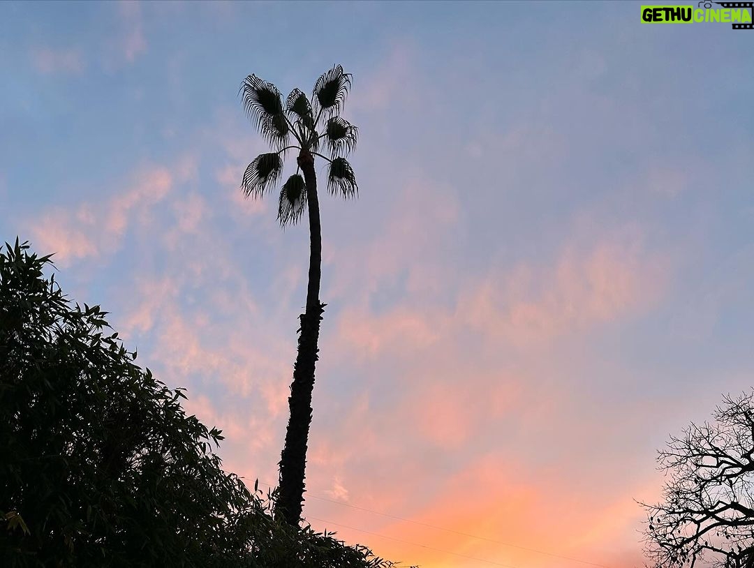 Laufey Instagram - january so far Los Angeles, California