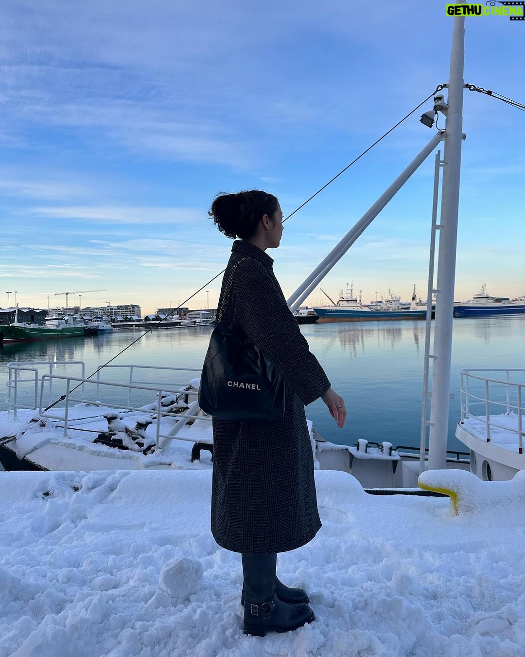 Laufey Instagram - last moments of 2023 🦢🦆🐖 Reykjavík, Iceland