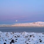 Laufey Instagram - last moments of 2023 🦢🦆🐖 Reykjavík, Iceland