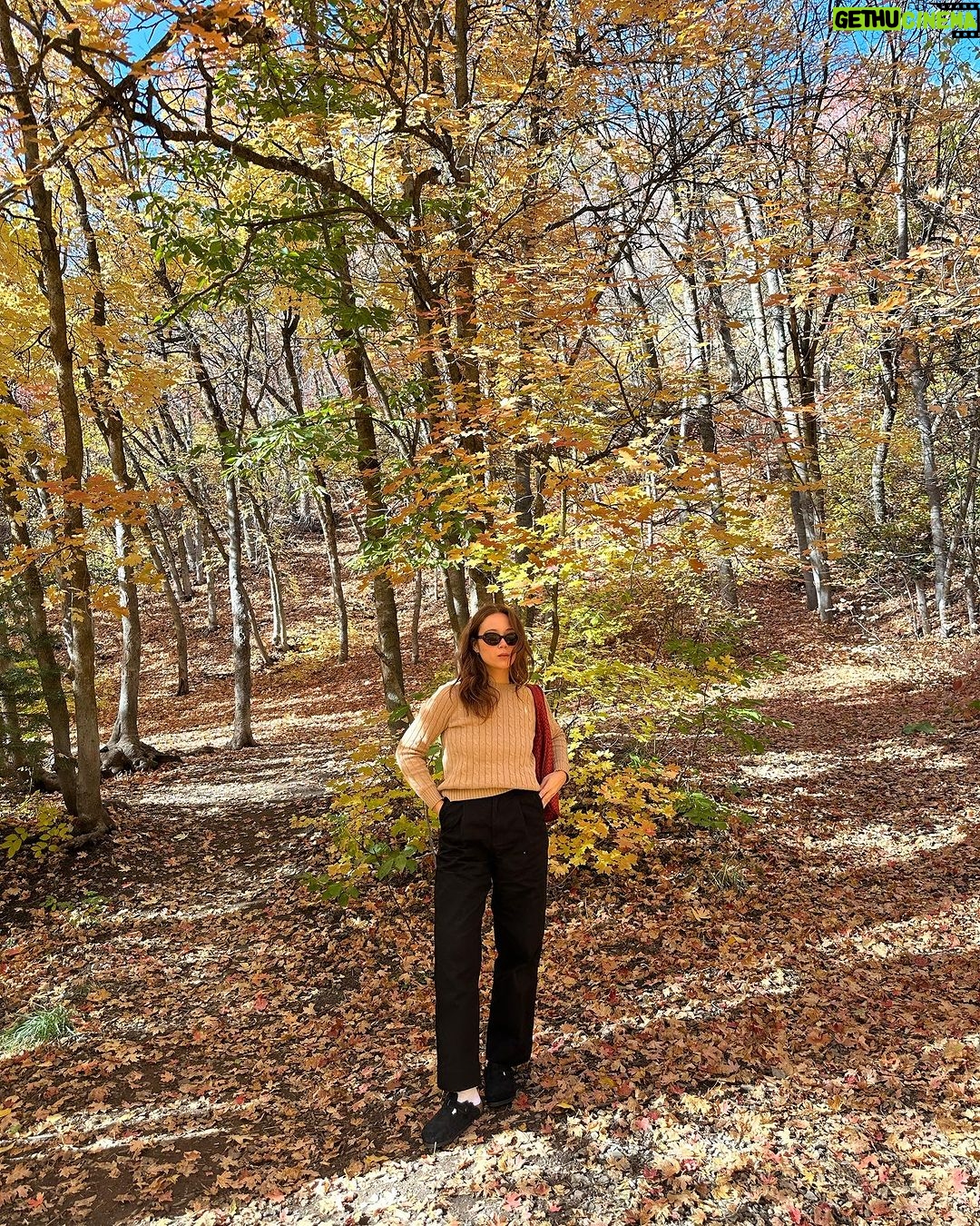 Laufey Instagram - connecting with nature on tour de bewitched !