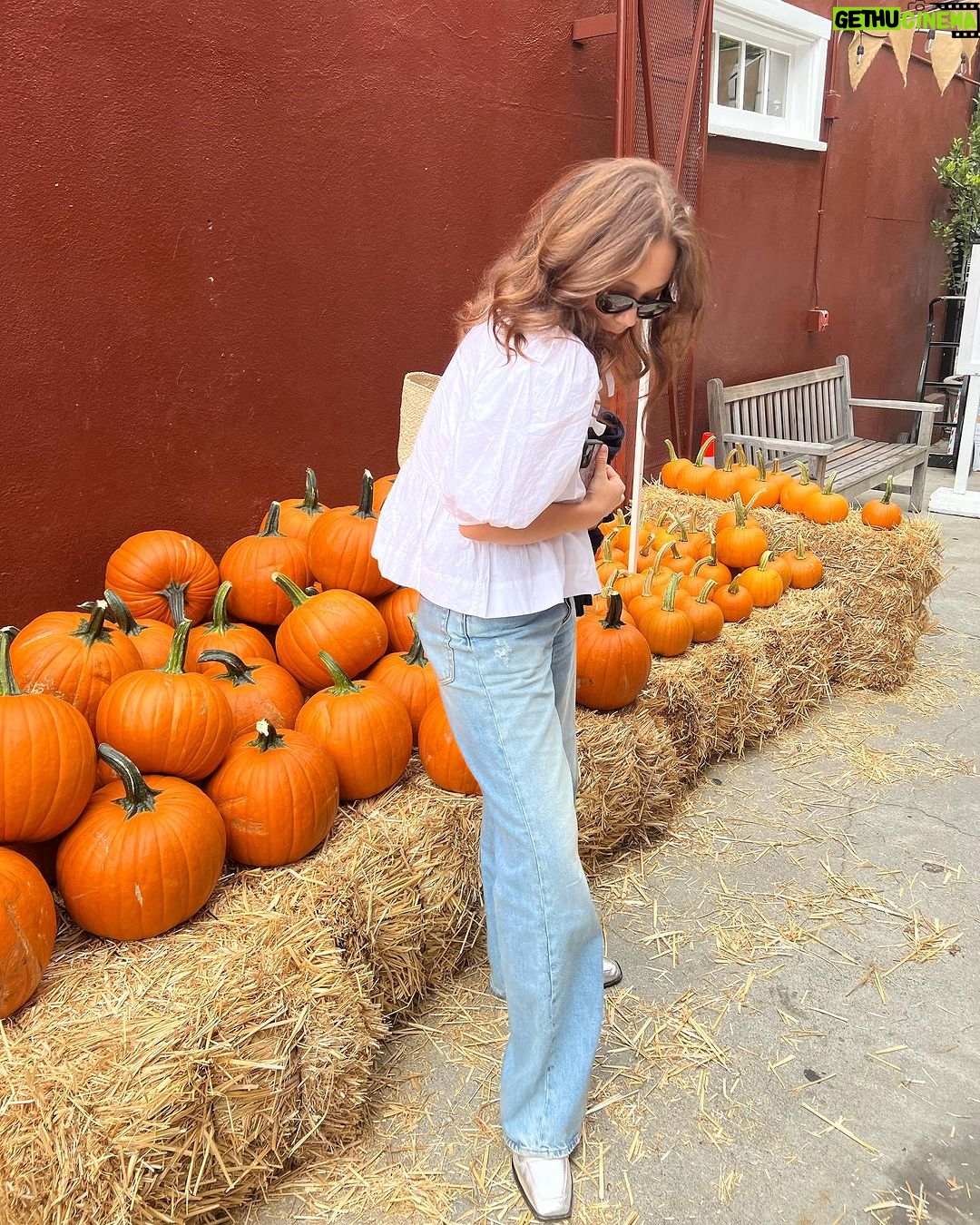 Laufey Instagram - fell right down the rabbit hole….🐰✨ Los Angeles, California