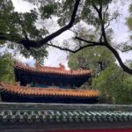 Laufey Instagram – beijing 我爱你 🥟🐰🤍✨🍓 Beijing, China