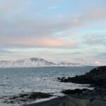Laufey Instagram - last moments of 2023 🦢🦆🐖 Reykjavík, Iceland