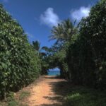 Lauren German Instagram - Banzai Pipeline