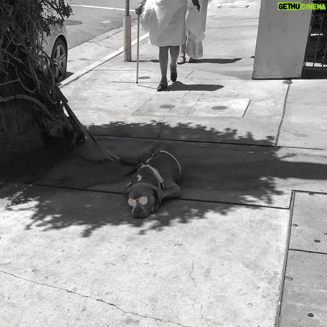 Lauren German Instagram - This guy knows how to take 5 and relax