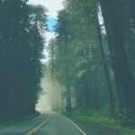 Lauren German Instagram - Oregon Coast