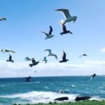 Lauren German Instagram -