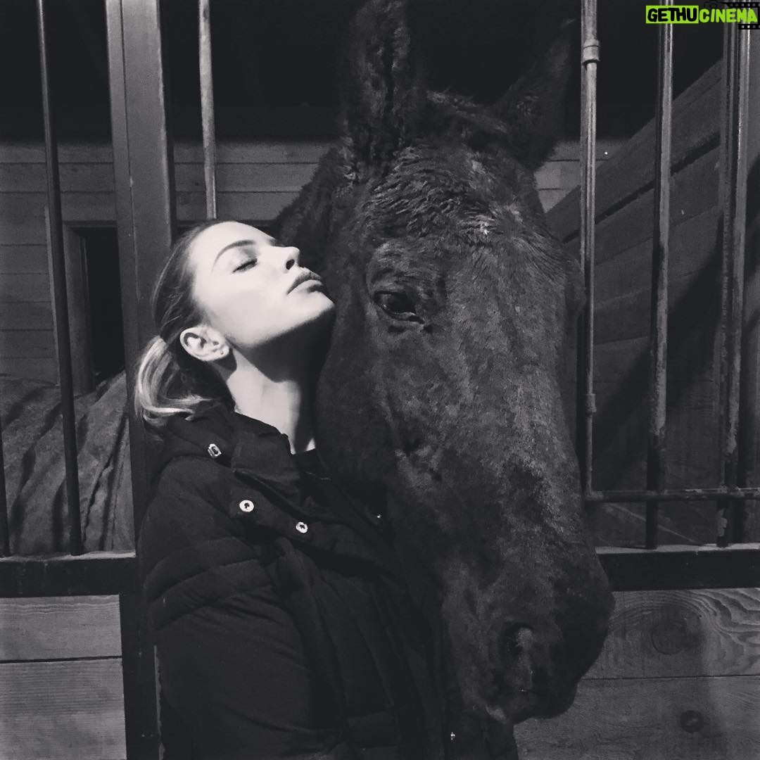 Lauren German - 25.7K Likes -