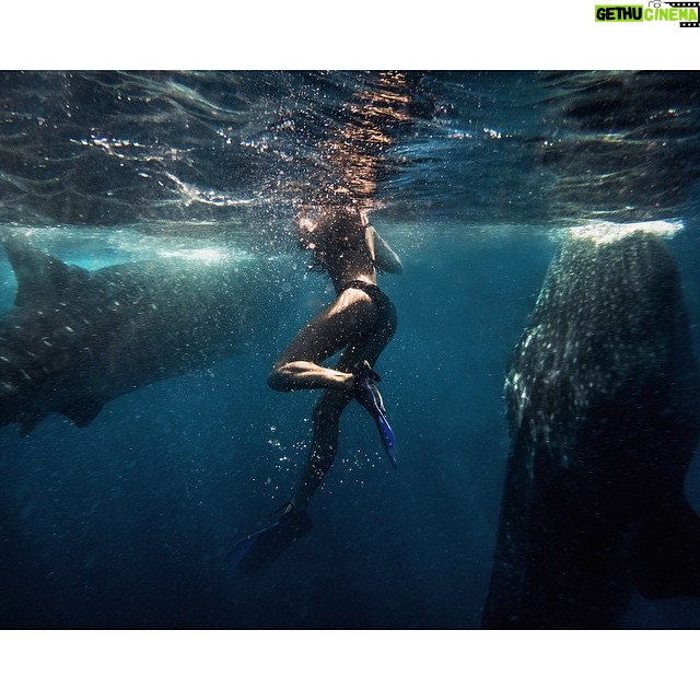 Lauren German Instagram - Isla Mujeres, Cancun, Mexico