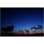 Lauren German Instagram -