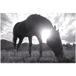 Lauren German Instagram -
