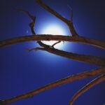 Lauren German Instagram - ..clear as a bell..