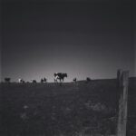 Lauren German Instagram -