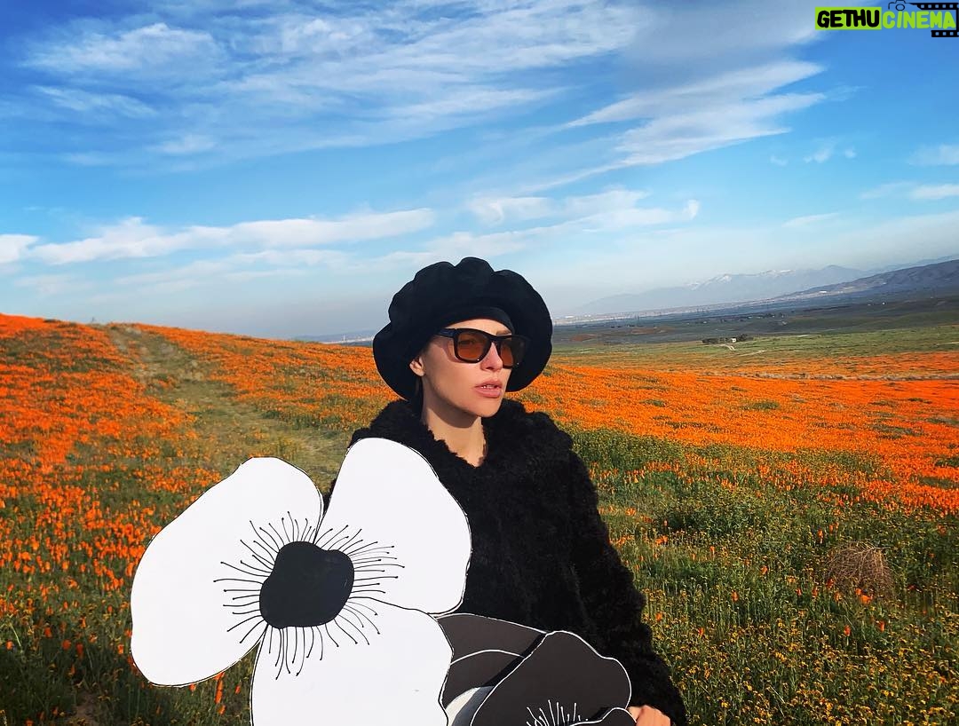 Lauren German - 86.4K Likes -