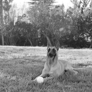 Lauren German Instagram - 