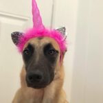 Lauren German Instagram –